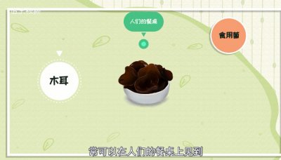 ​泡发的木耳隔夜能吃吗