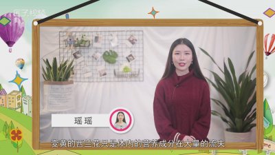 ​西兰花黄了还能吃吗