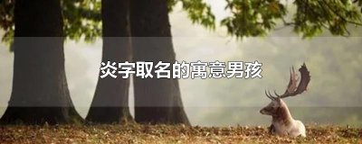 ​炎字取名的寓意男孩