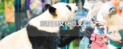 ​熊猫的文化意义