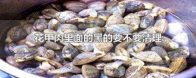 ​花甲肉里面的黑黑的东西要扔掉吗图片 花甲肉里面的黑黑的东西要扔掉吗视频