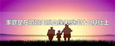 ​家庭是在婚姻关系血缘关系或什么基础上