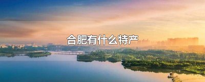 ​合肥有名的特产 安徽合肥好吃的特产