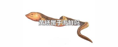 ​黄鳝属于海鲜吗