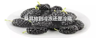 ​桑葚放到冷冻还是冷藏