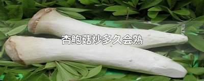 ​杏鲍菇炒多久会熟