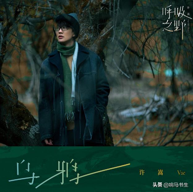 许嵩新歌上线乌鸦（获得山顶的宝藏）(6)