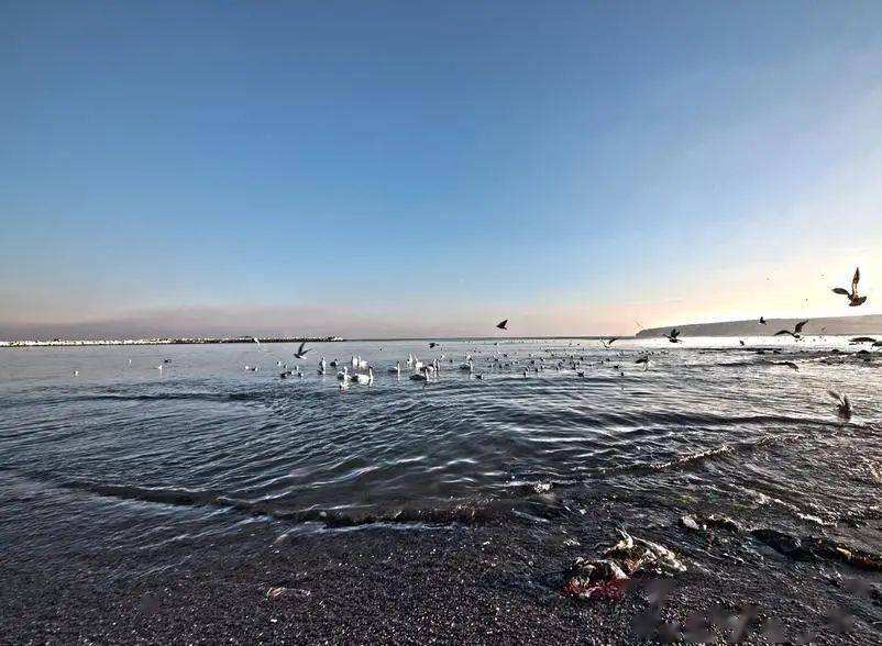 世界上哪里的海不产鱼_蕴藏着怎样的自然秘密