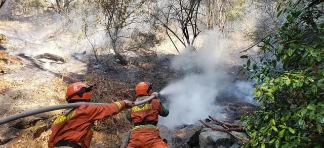 森林火灾是怎样引起的