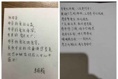 感恩母爱的一段话400字