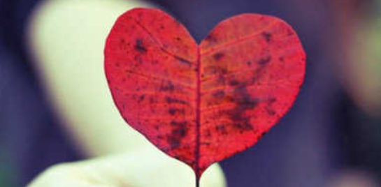 送给母亲一段感恩的话,感恩母爱的一段话400字图4