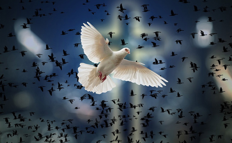 国内女装有哪些牌子比较实惠一下(中高端女装品牌前十名)