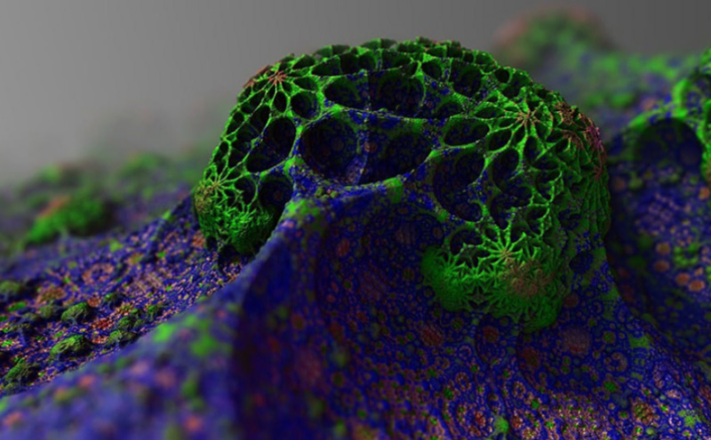 国内女装有哪些牌子比较实惠一下(中高端女装品牌前十名)