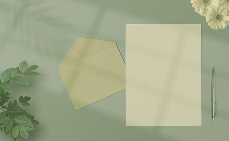 国内女装有哪些牌子比较实惠一下(中高端女装品牌前十名)