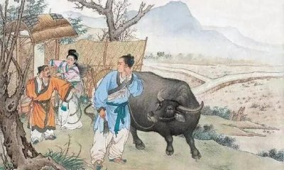 ​左宗棠简介及生平事迹（历史上左宗棠英雄事迹和评价）