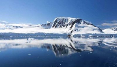 ​张云雷为什么叫平西王杨九郎平西王妃,张云雷平西王 梗