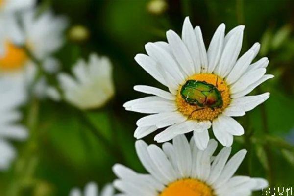 婚外情分手后男人放不下的表现 婚外情男人和女人区别 婚外情分手后男人放不下的表现 婚外情男人和女人区别