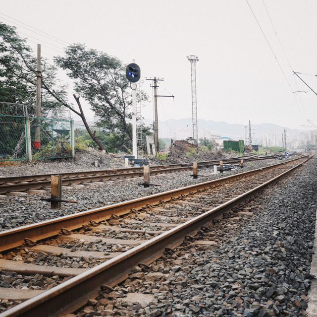 最出名的苍蝇馆子(这四家史诗级的苍蝇馆子)(31)