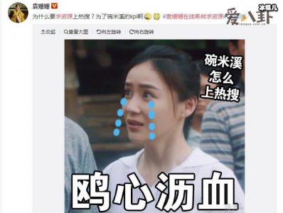 ​袁姗姗现况遭起底，如今无戏可拍？