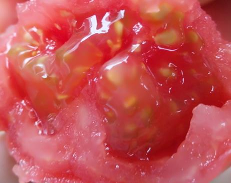 吃番茄对前列腺好吗_吃番茄对前列腺的影响 吃番茄对前列腺好吗_吃番茄对前列腺的影响