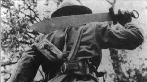 都说湘军恶如狼, 桂军猛如虎, 川滇两只羊, 但都不如这支队伍