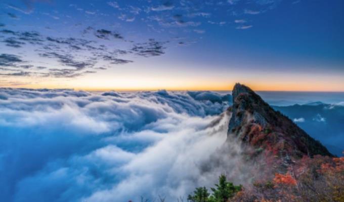 f2061fe8e7dad862363ef36ddde3b0dc.png 未命名.png