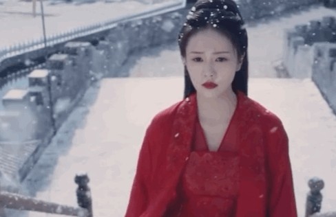 白鹿毕业于哪个大学(演员白鹿为什么火了)