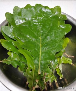 ​高压锅煮粽子的做法（高压锅煮粽子，又快又糯又好吃，小白一学就会）