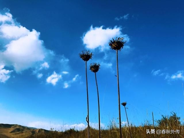 扎西德勒是什么意思(扎西德勒历史来源文章分享)