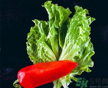 ​吃生菜可以减肥吗?生菜减肥法怎么吃