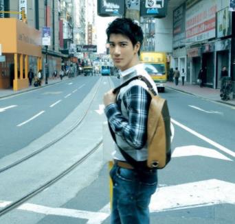 王力宏年轻时颜值 王力宏年轻时的最帅照片