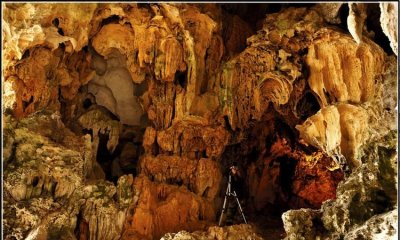 ​溶洞的资料，关于溶洞的资料30字求回答？