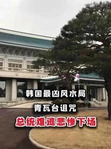 ​韩国“青瓦台魔咒”：历史与现实交织的复杂现象