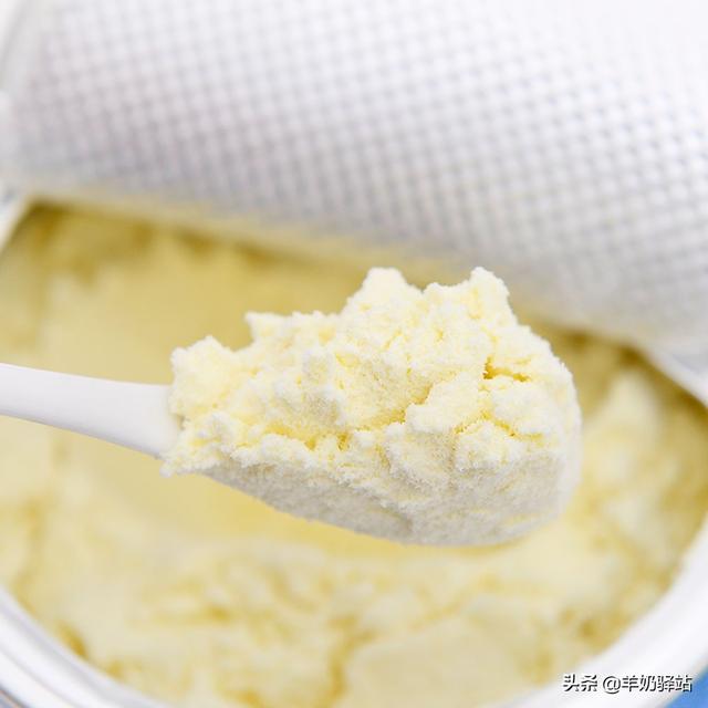 羊奶粉是什么（科普羊奶粉知识）(1)