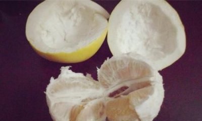 ​柚子剥开后隔夜能吃,柚子剥皮过了三四天还能吃吗