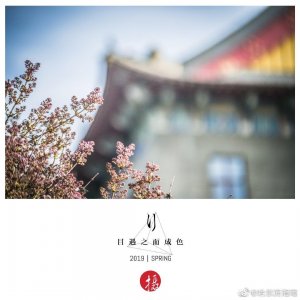 ​我欲乘风破浪，看遍春花风扬，与其误会一场，也要不负勇往。哈尔滨