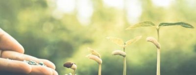 ​屋里面有油烟味怎么去除屋子里有油烟味怎么办？