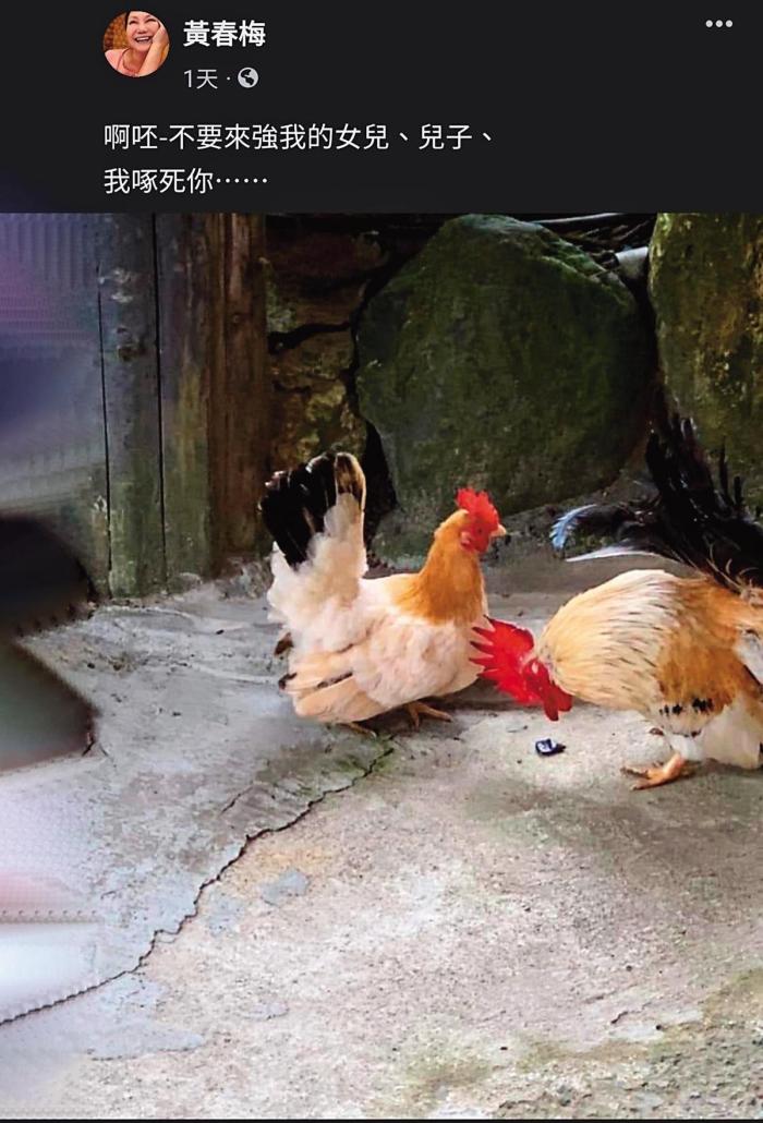 吴宗宪首谈大S再婚（大S又坠入爱河）