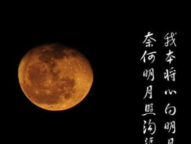 奈何明月照沟渠,奈何明月照沟渠的全诗谁的诗图3