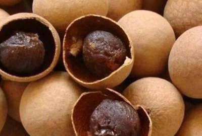 桂圆是发物,桂圆是发物不图5