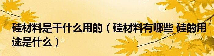 硅单质的用途高中化学