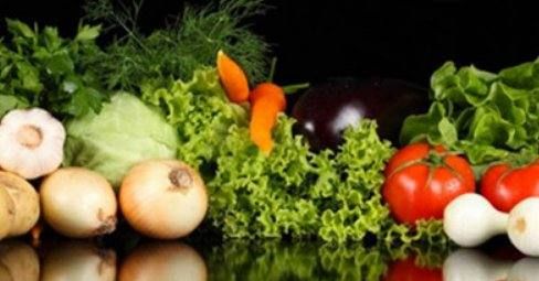 六大营养素记忆口诀,简述七大类营养素的名称及主要生理作用图4