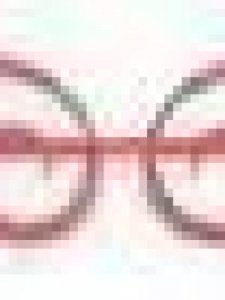 ​鱼属于什么动物(鲍鱼属于什么动物)