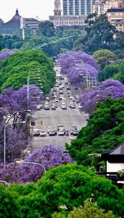 亚热带湿润气候特点(亚热带湿润气候分布在哪里)