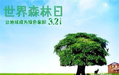 保护森林的措施有哪些,怎样保护森林资源的建议书图4