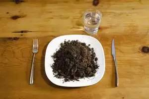 狗带什么意思（2015年最火的网络流行语）