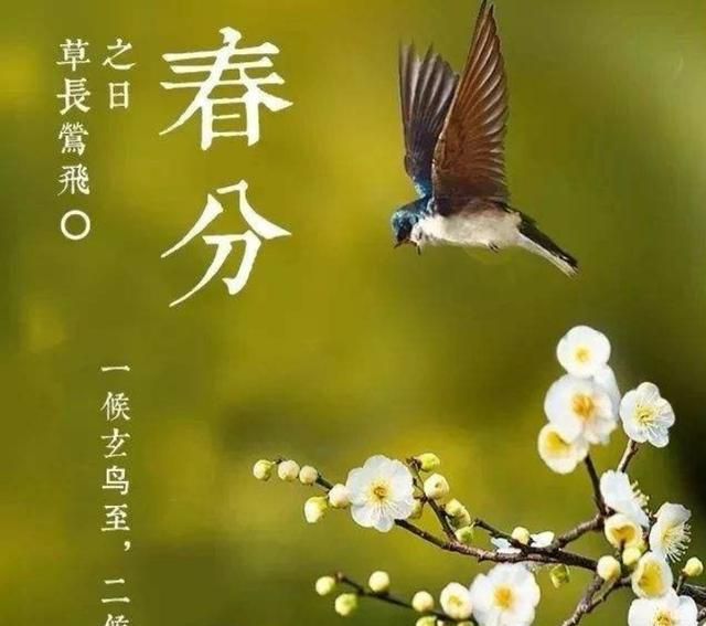 春分节气,春分节气:春分是哪一天,春分的由来及习俗等?图4