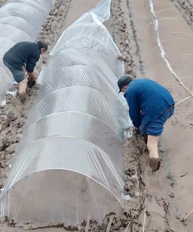 春分节气,春分节气:春分是哪一天,春分的由来及习俗等?图5