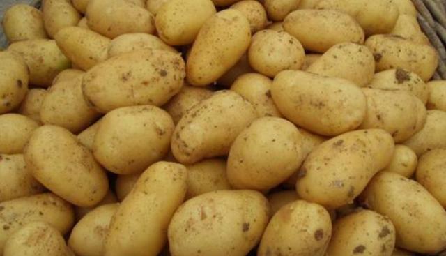 土豆要怎么保存才不发芽和绿（今天才发现土豆这样保存）(3)