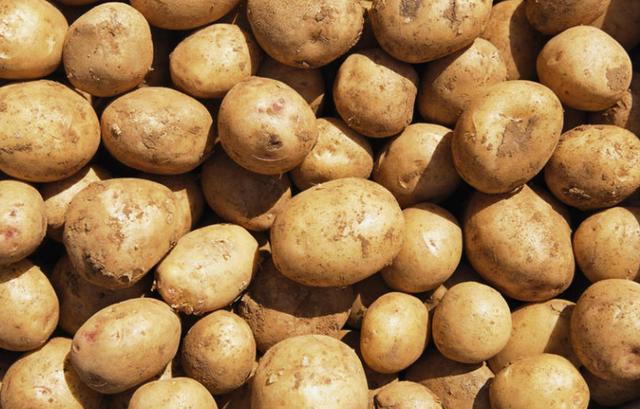 土豆要怎么保存才不发芽和绿（今天才发现土豆这样保存）(2)